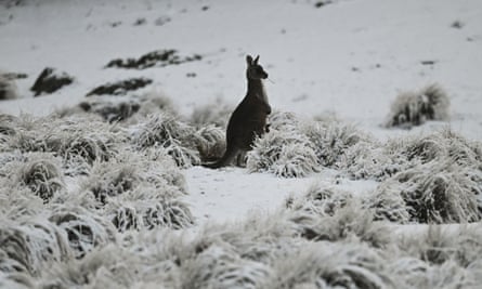 Wintry Weather Set To Bring Snow Hail And Thunderstorms To Australia S South East Australia Weather The Guardian