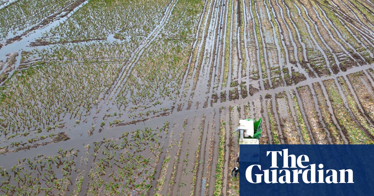 Which UK foods are at risk as extreme weather causes havoc with global supplies? | Extreme weather | The Guardian