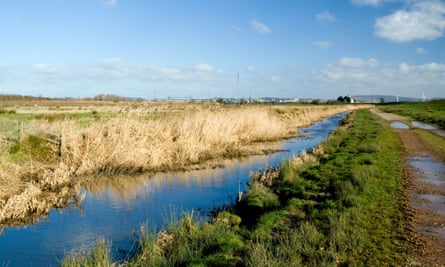 Gwent Levels near Newport: close-up view of stream shining blue under blue sky with brown reeds on the banks and a strip of grass beside a pathway stretching across a flat landscape