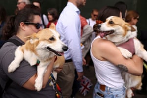 Corgis and their owners take part in a parade organised by the UK Corgi Club and Great Corgi Club of Britain