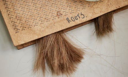 جذور الشعر.