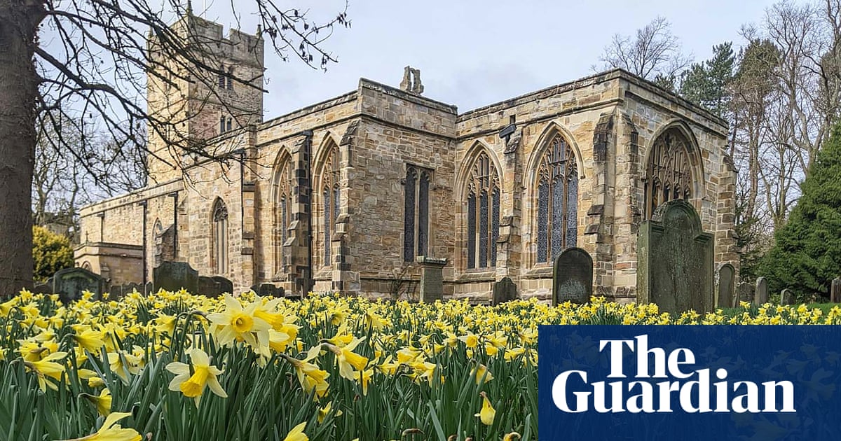 Country diary: The quiet vitality of a well-managed churchyard | Phil Gates