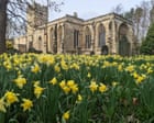 Country diary: The quiet vitality of a well-managed churchyard | Phil Gates