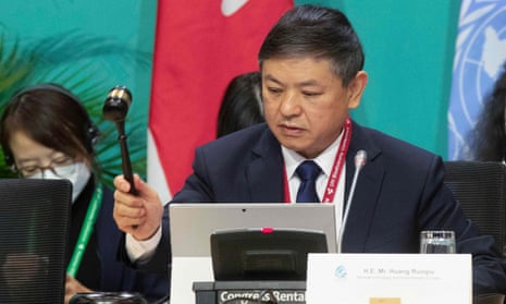 The Cop15 president, Huang Runqiu, holds a gavel at a session of the high-level segment of Cop15.