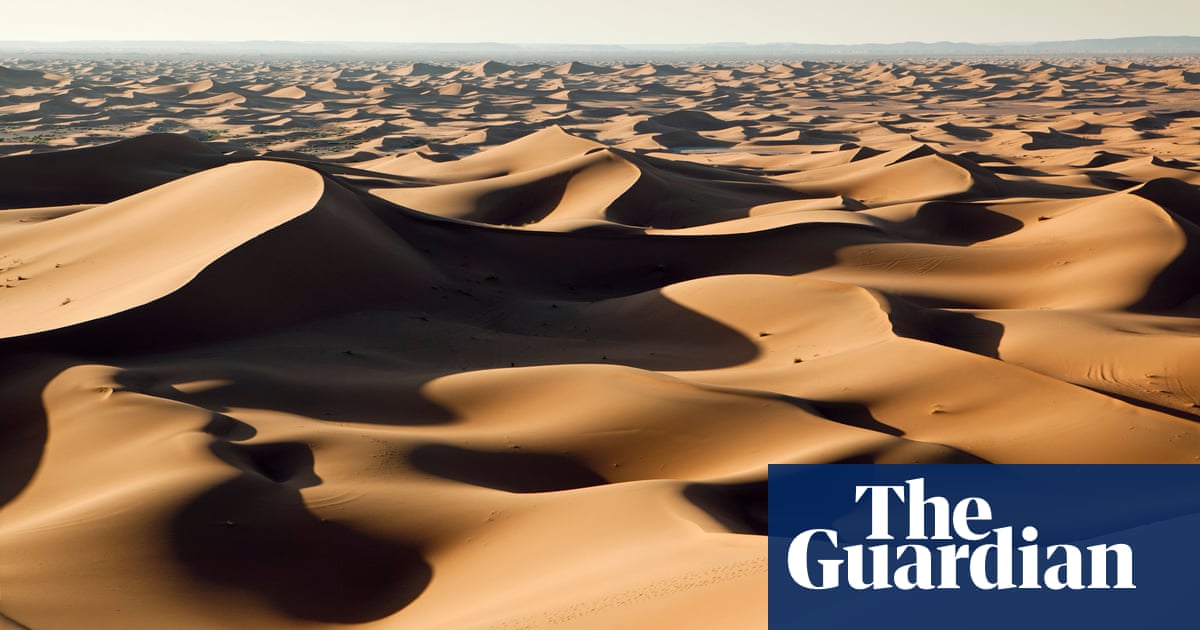 When the Sahara Was Green by Martin Williams review – the sands of time