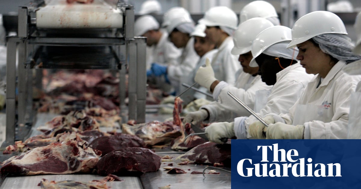 hsbc sounds alarm over investment in meat giant due to deforestation inaction brazil the guardian
