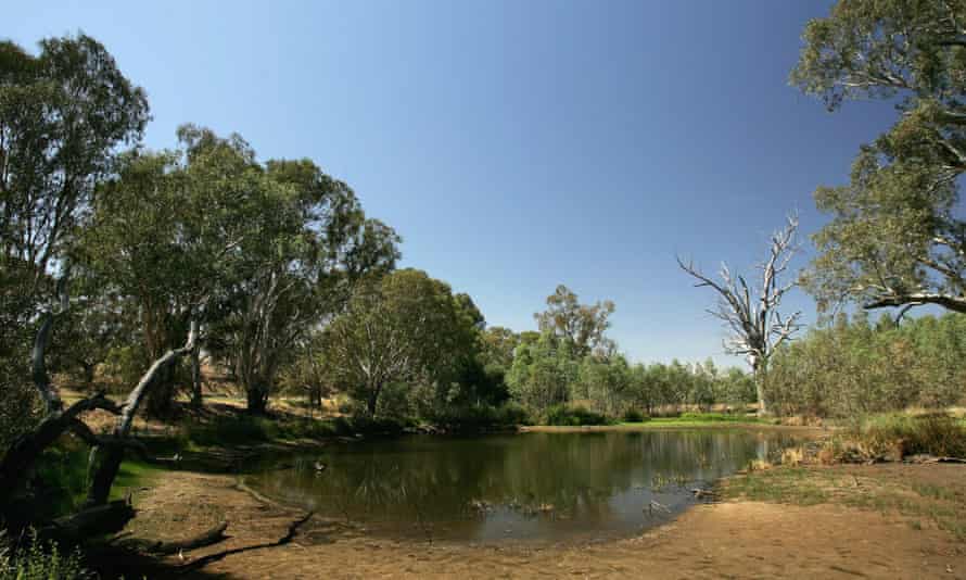 A view of the Wonga Wetlands in Albury