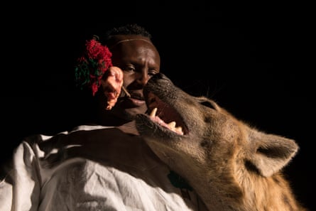 A hyena eats a piece of meat attached to a stick held between Abbas’s teeth.