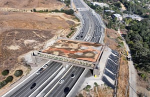 An aerial view of a wildlife crossing that is under construction