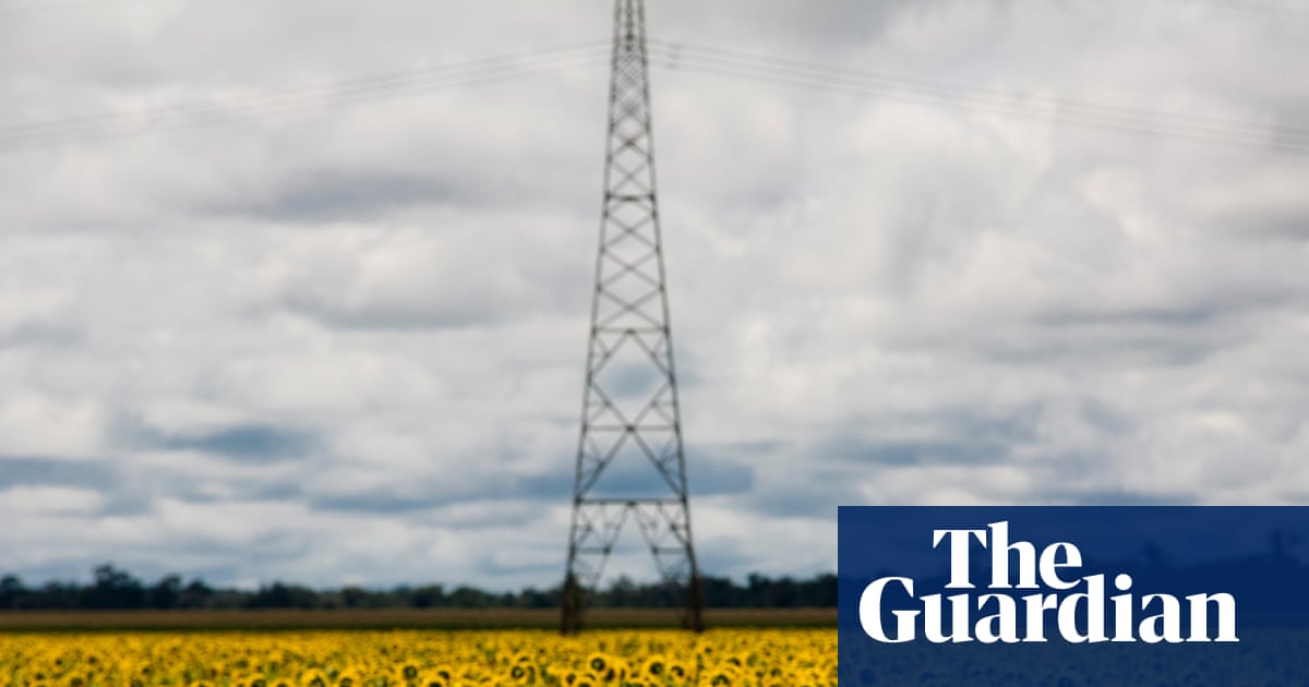 Scramble for biofuel as oil prices rise ‘could push world closer to food crisis’