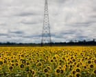 Scramble for biofuel as oil prices rise ‘could push world closer to food crisis’