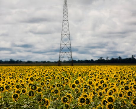 Scramble for biofuel as oil prices rise ‘could push world closer to food crisis’
