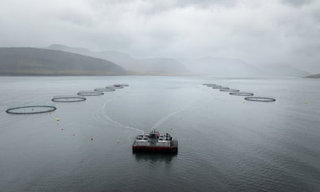 Two rows of six pens face each other across the  water