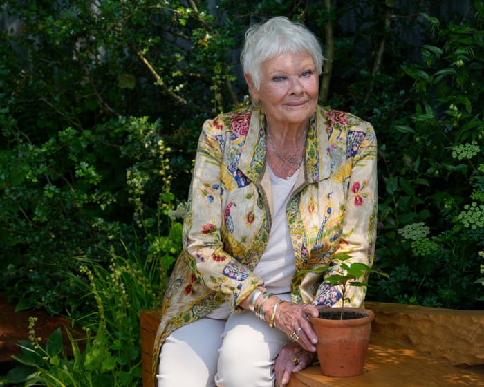 Judi Dench backs campaign to protect London’s green spaces from developers