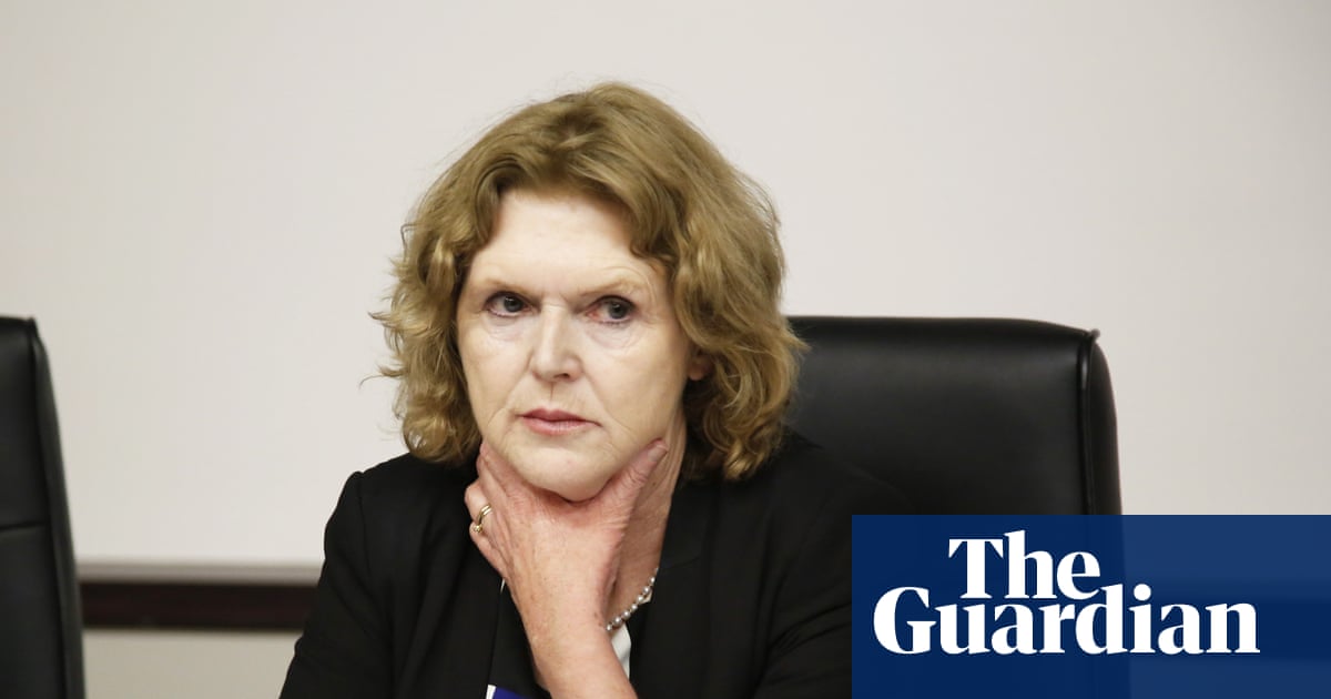 ‘It’s a road to destruction’: climate defenders facing surge in reprisals, says UN expert