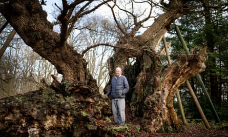 Ted Green, photographed in Windsor Great Park next to ancient tree King Offa’s Oak, which is thought to be over 1000 years old. 20 December 2023