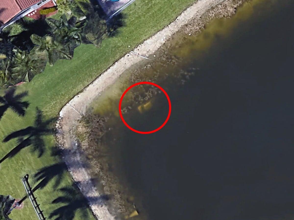 Google Earth reveals remains of man missing for 22 years in Florida lake | Florida | The Guardian