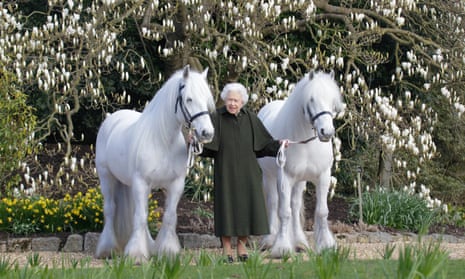 A new photograph issued to mark the occasion shows the Queen with her ponies Bybeck Nightingale (left) and Bybeck Katie (right).