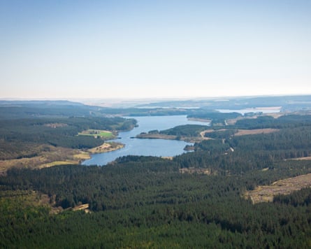 Drone’s eye view of Kielder Forest showing forest and water