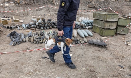 A member of an explosive ordnance disposal team carries a dog in Yahidne, Ukraine.