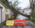 Temporary barriers in the middle of a road in front of a fallen tree