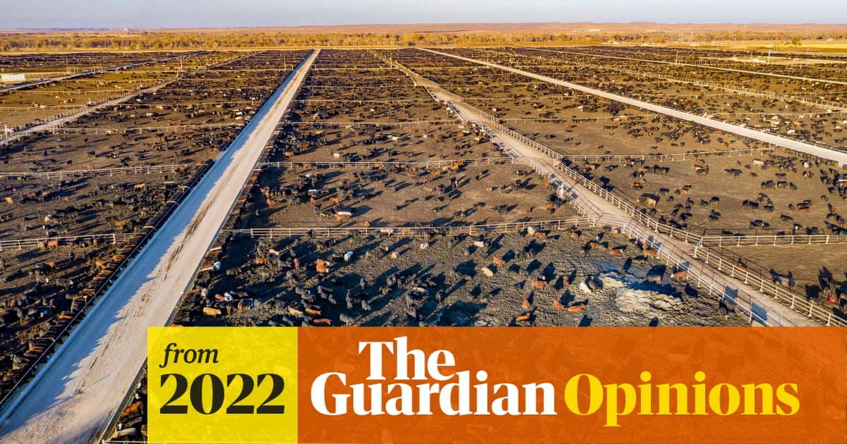 There’s one big subject our leaders at Cop27 won’t touch: livestock farming | George Monbiot