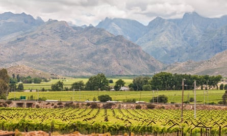 Vineyards and mountains in the Hex valley.