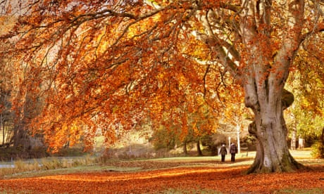 Readers’ travel photography competition: October – send us your pictures