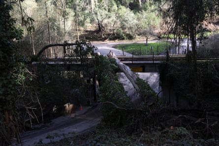 A fallen tree is seen during Joe Biden’s survey the storm-caused damage in Capitola, California.