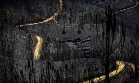A road meanders through areas affected by a wildfire about 20 miles from Pedrógão Grande.