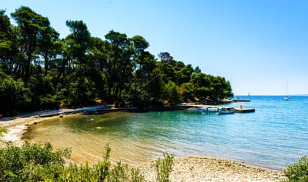 small blue bay with pine trees and sail boats in background