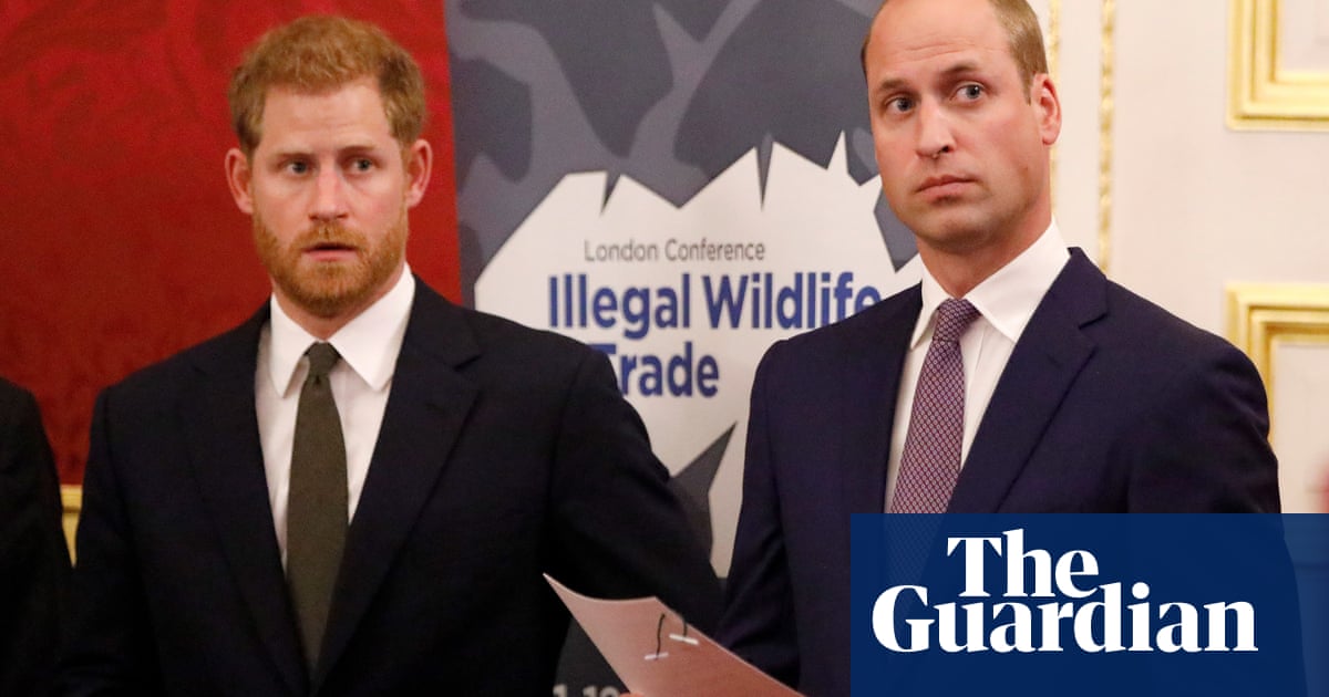 Prince Harry or William for Australia governor general? Maybe, says MP