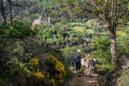 Person with hat and donkey walking in verdants scenery with castle in distance