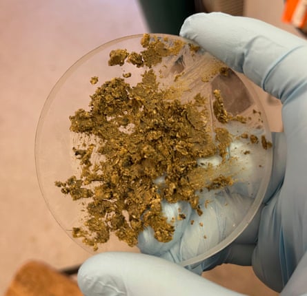 Poo ball that has been broken up and placed on a petri dish
