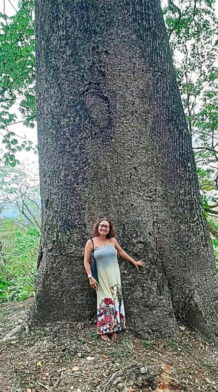 A visitor to Yerette stands by the giant silk cotton tree for scale.