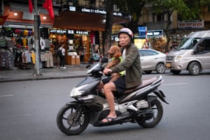 A dog sits up front on a motorbike in Hanoi