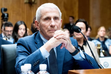 Dr Anthony Fauci at a Senate hearing in Washington on 29 July.