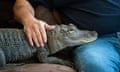 Joie Henney sits with his emotional support alligator Wally inside his home in York Haven, Pennsylvania on 22 January 2019.