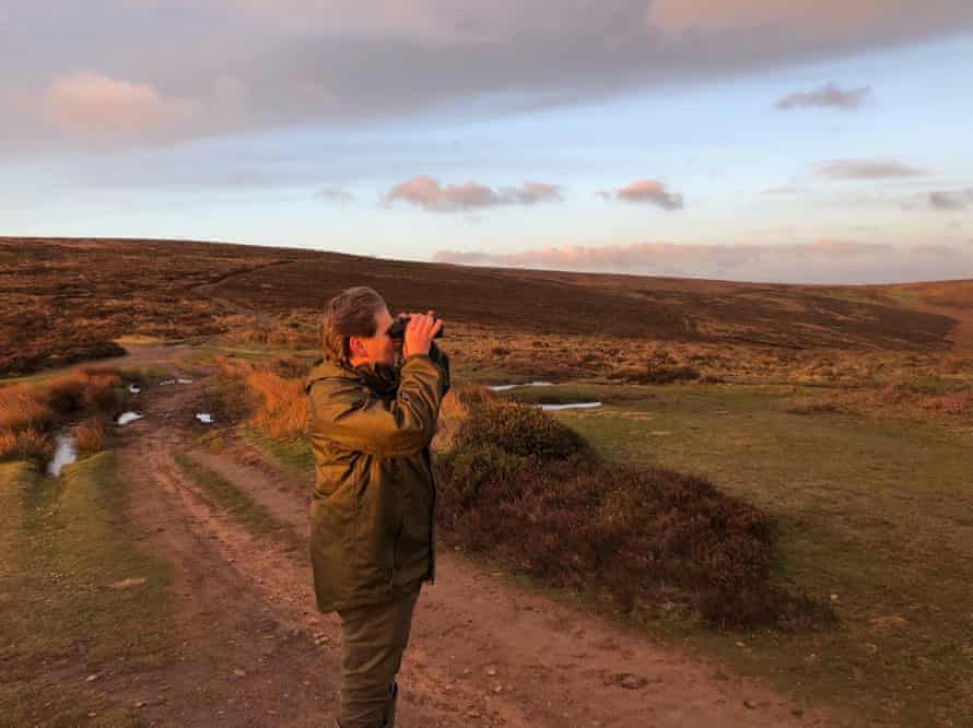 Jochen Langbein searches for red deer