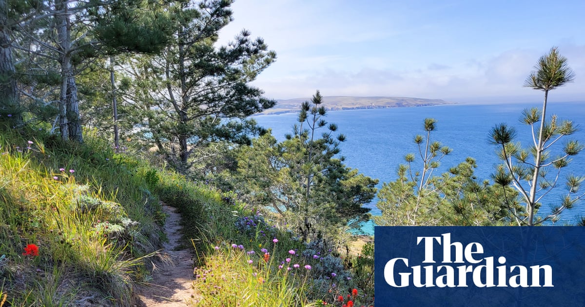 California's on Fire (Again): Rare Plants on Santa Rosa Island Get the BBQ Treatment