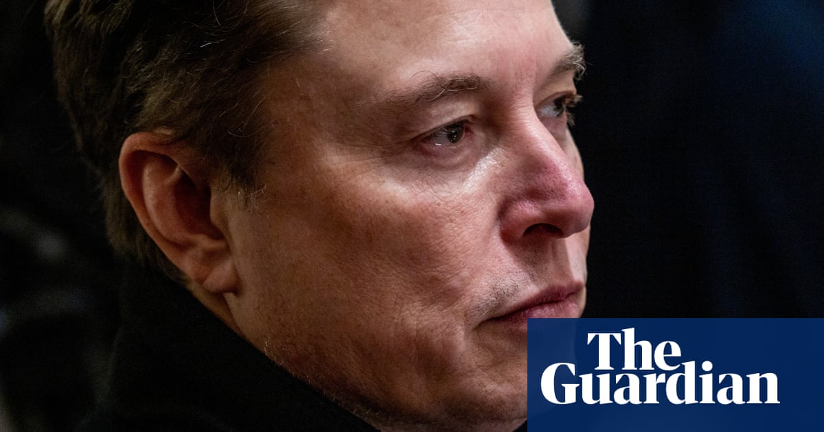 Salutes, Maga hats and mass layoffs: Elon Musk at Doge – a timeline - The Guardian
