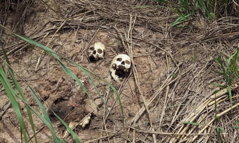 Human skulls believed to belong to victims of fighting between the government army and the Kamuina Nsapu militia are seen on the roadside near Kananga, the capital of Kasai province in the Democratic Republic of Congo.