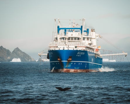 A large fishing trawler at sea