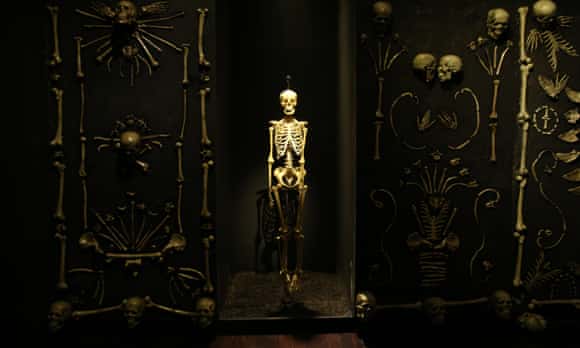 Exhibit from Real Bodies: The Exhibition