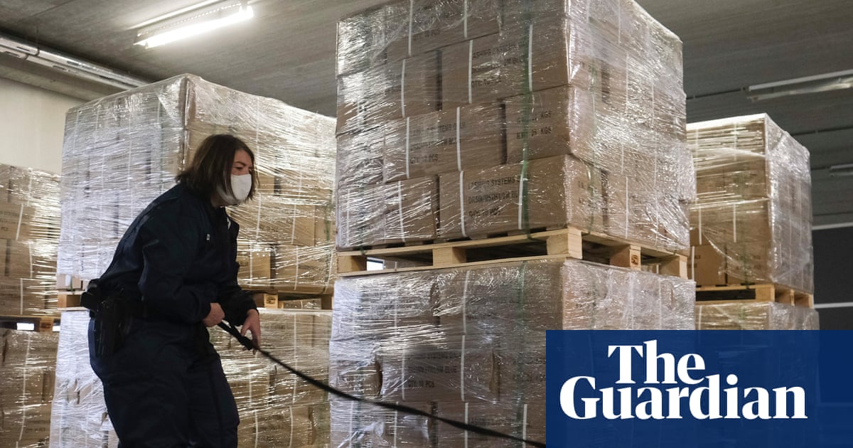 Belgium at risk of becoming narco-state', judge warns