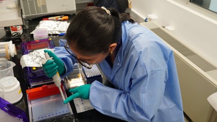 Tester des échantillons en laboratoire pour la grippe aviaire.