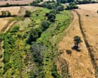 Rewilded land remains green amid drought-stricken English countryside, images show
