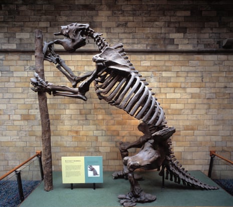 The giant ground sloth, or Megatherium, weighed an estimated six tonnes. Darwin chipped the skull of the animal out of the cliff face in Punta Alta, Argentina in 1832.