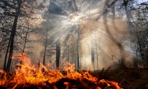 Wildfires in the Irkutsk region of Russia