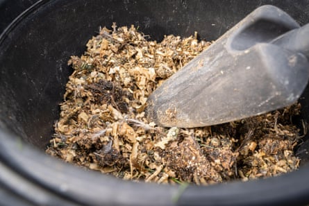 Wood sawdust with bird droppings in a bucket. Using chicken farm waste as fertilizer for the vegetable garden